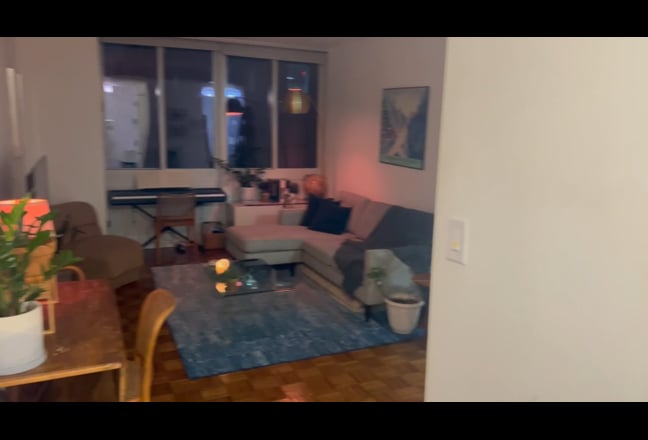 Furnished Luxury Brooklyn High Rise-2 Months Main Photo