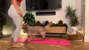 Related Embedded Video Item Thumbnail