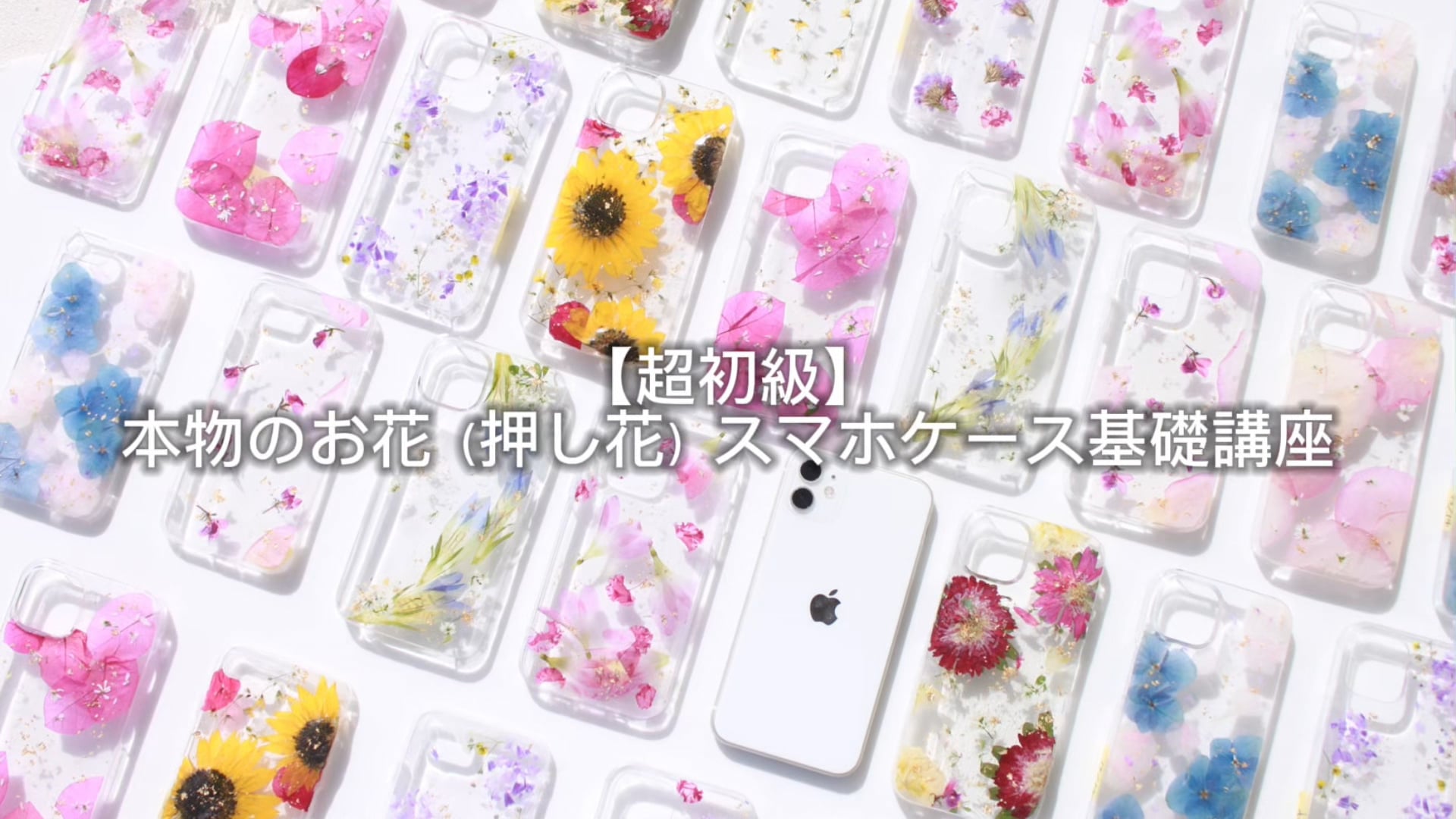 予告編動画のサムネイル画像