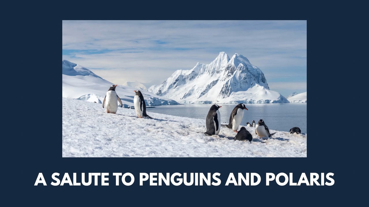 William Walker - A Salute to Penguins and Polaris