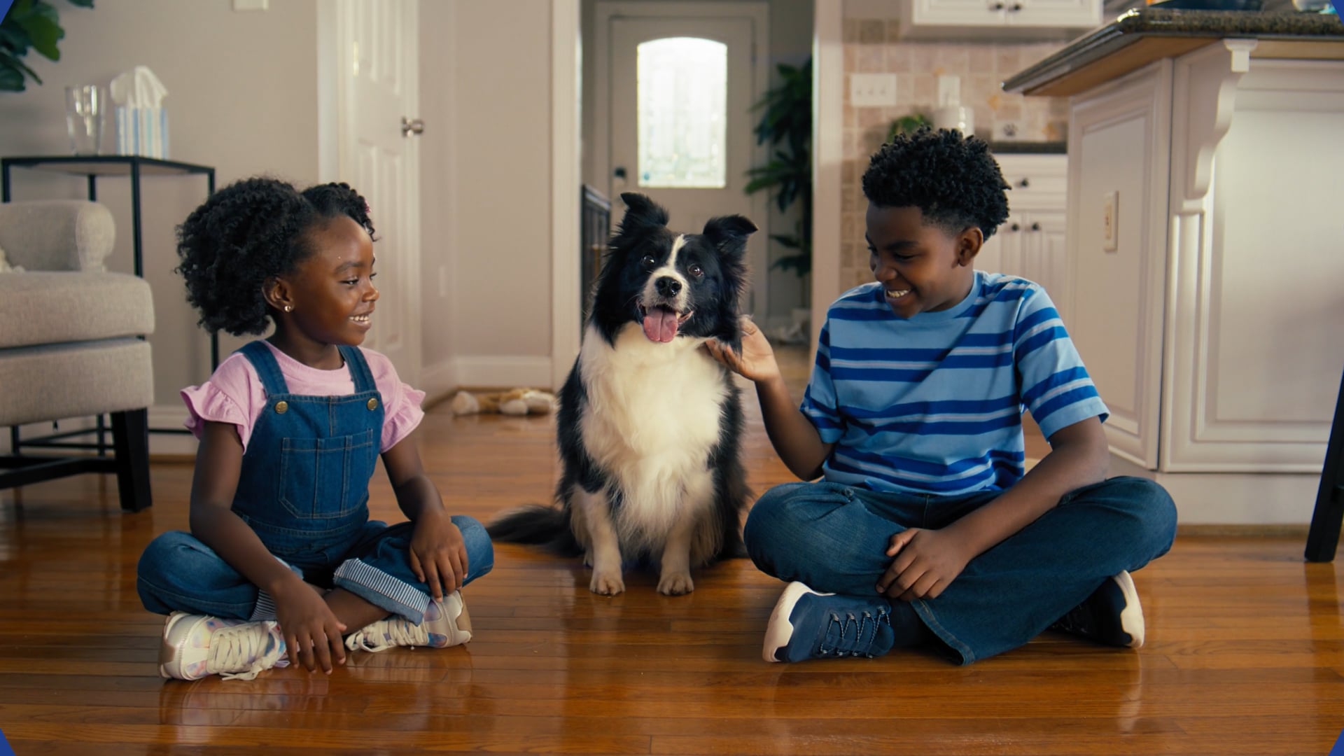 AKC Brand Campaign | Everything We Do, We Do for Dogs