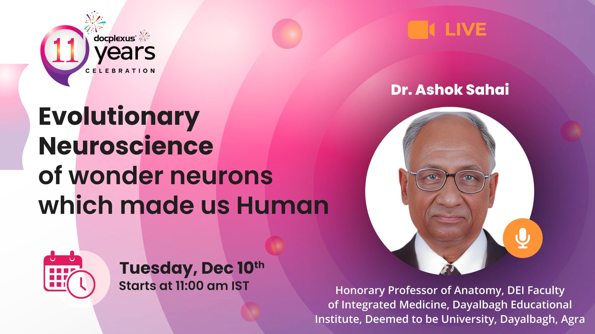 Evolutionary Neuroscience of Wonder Neurons Which Made Us Human