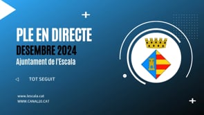 Ple Desembre 2024