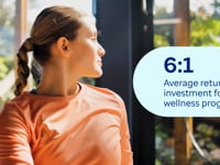 Optum Workplace Well-being video/presentation/materials
