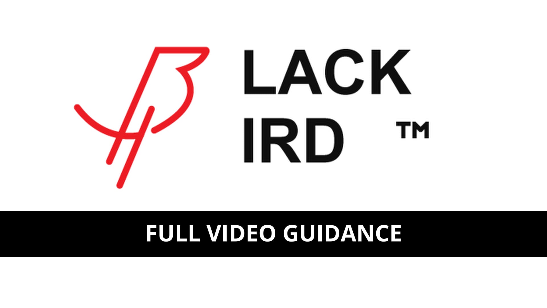 BlackBird Smart Wristband | FULL VIDEO GUIDANCE