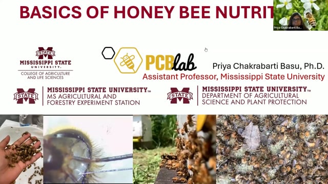 It Depends - Priyadarshini Chakrabarti Basu, Ph.D. discusses bee nutrition