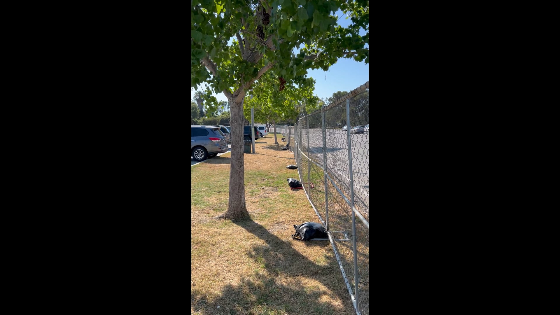 Temporary Fence