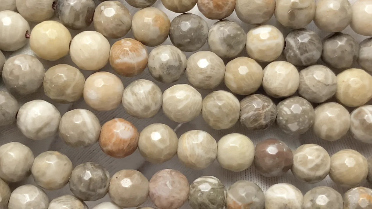 フォシルコーラル（化石珊瑚） 128面ラウンドカット6mm 1連｜天然石