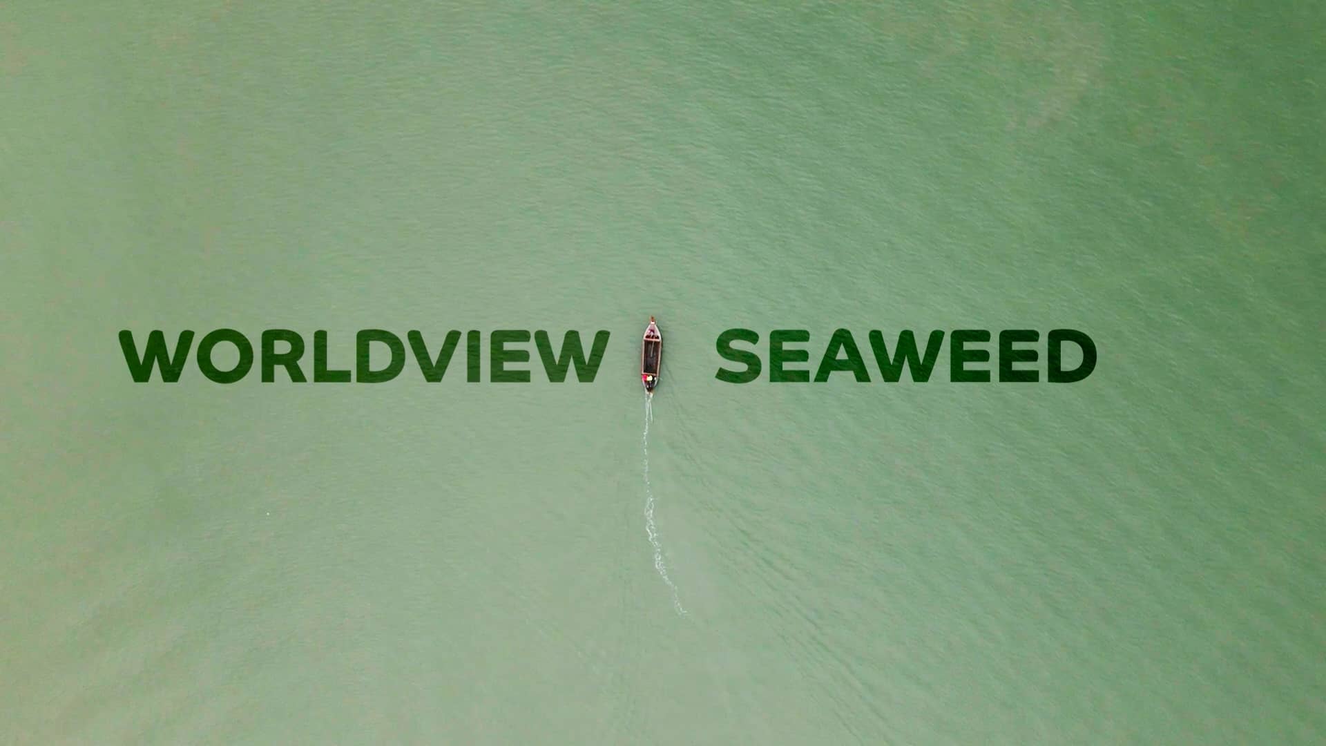 Worldview Seaweed