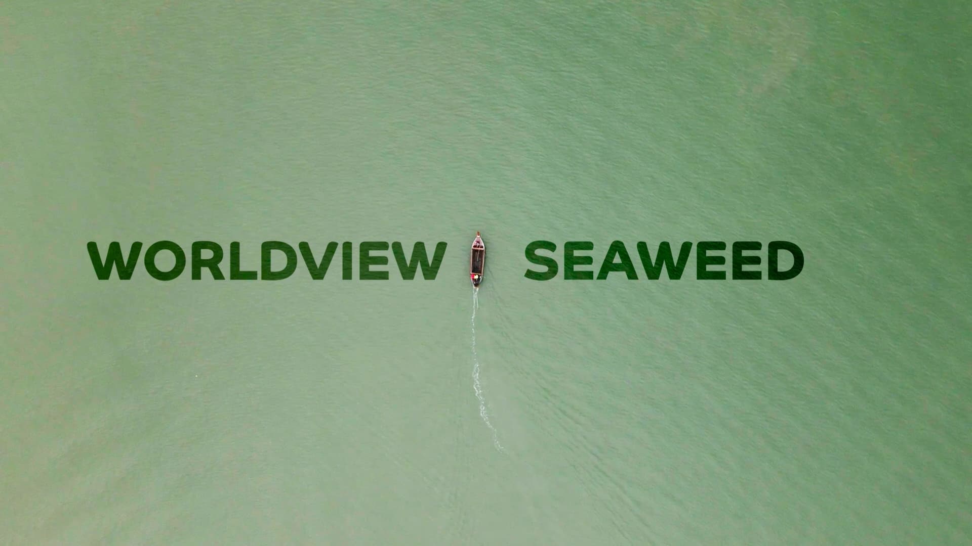Worldview Seaweed