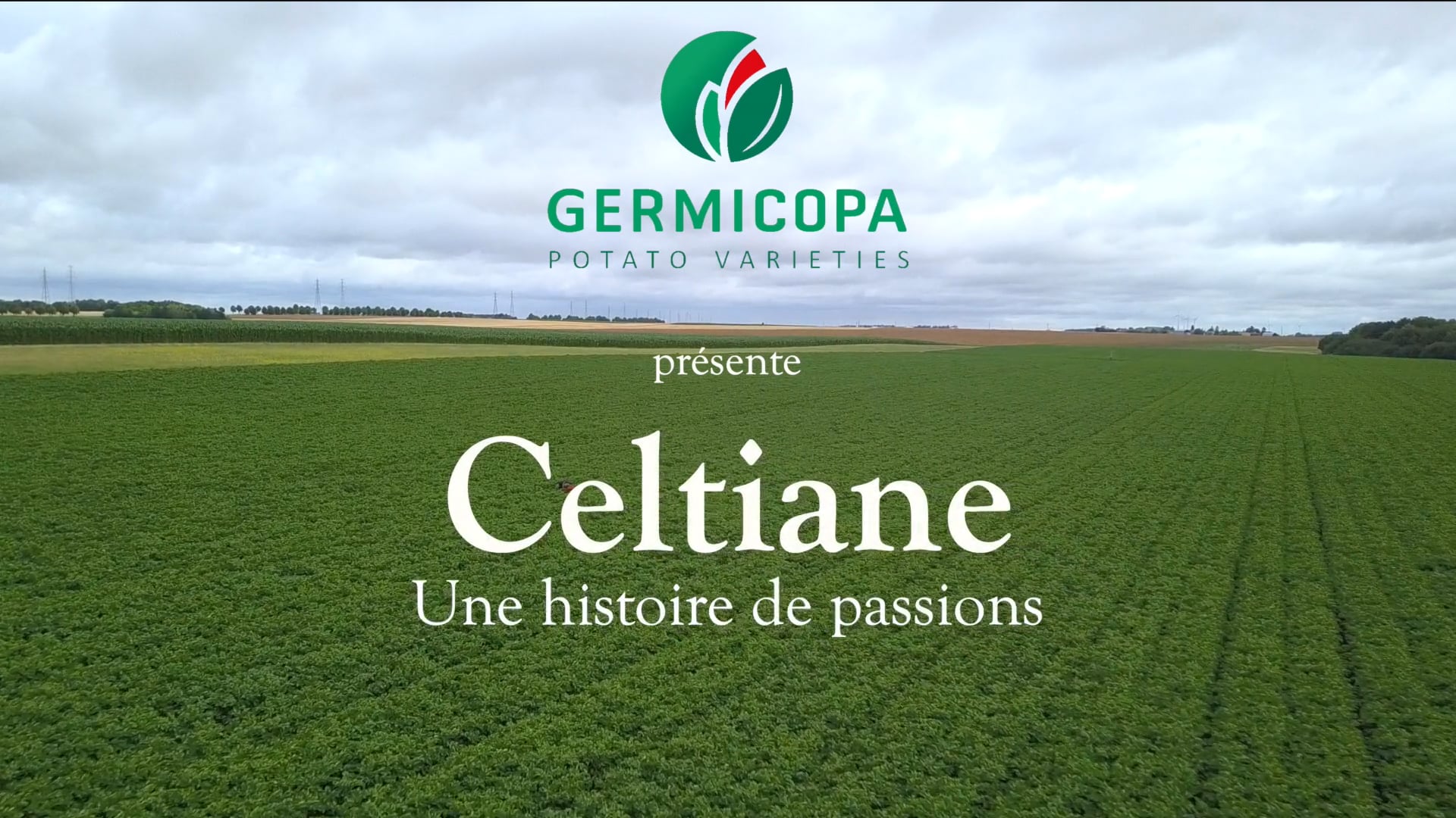 Celtiane, une histoire de passions