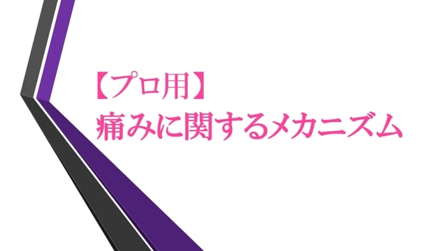 【プロ用】痛みに関するメカニズム