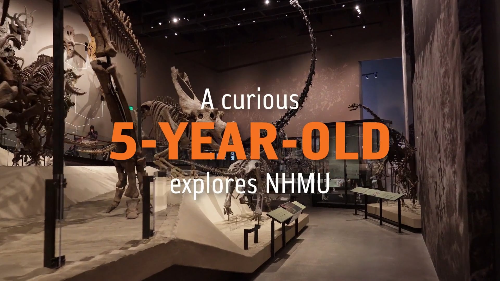 5-Year-Old Explores the Natural History Museum of Utah
