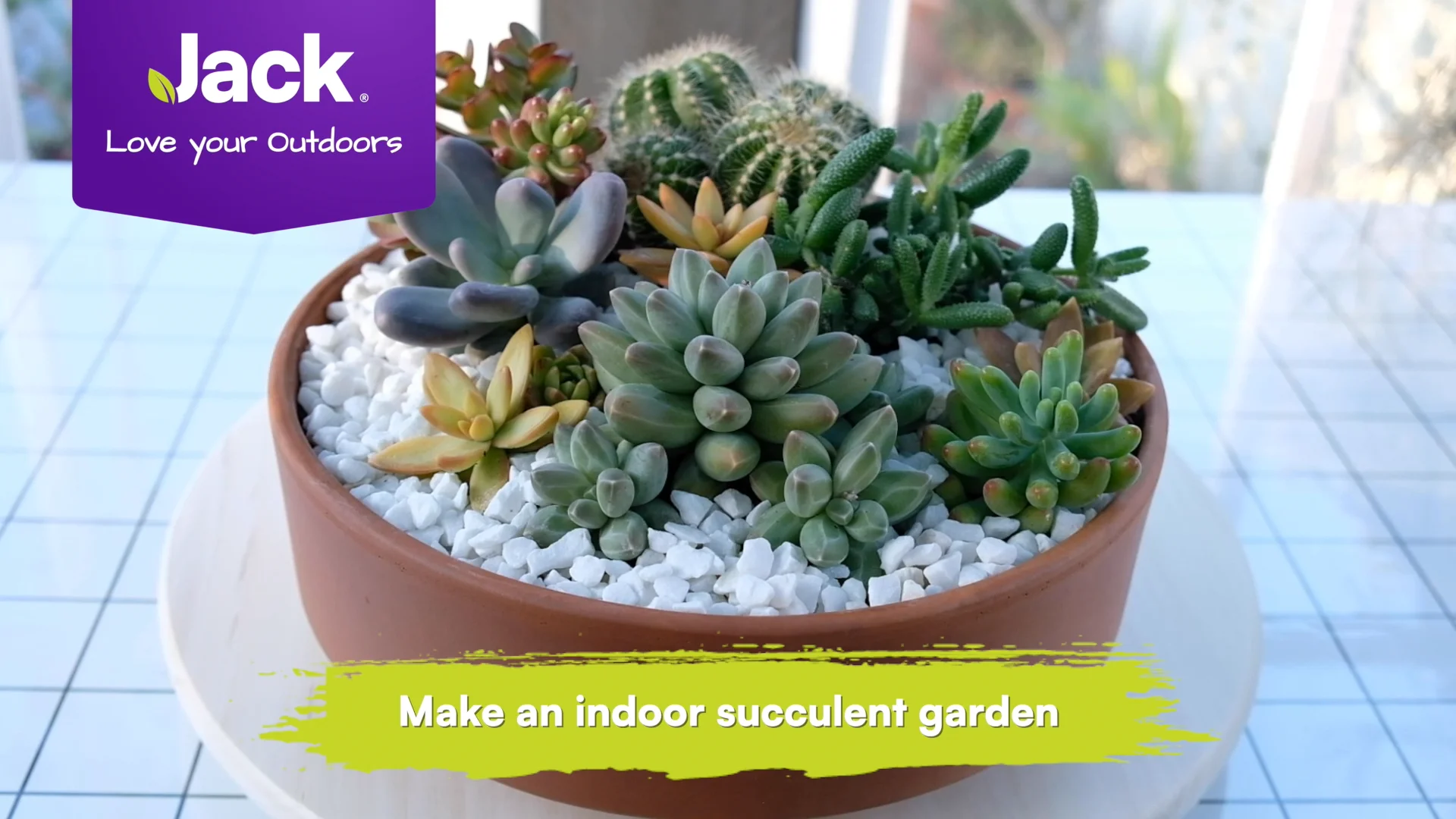 How To Make Outdoor Succulent Garden