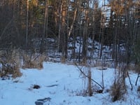 Welcoming in the wintry months