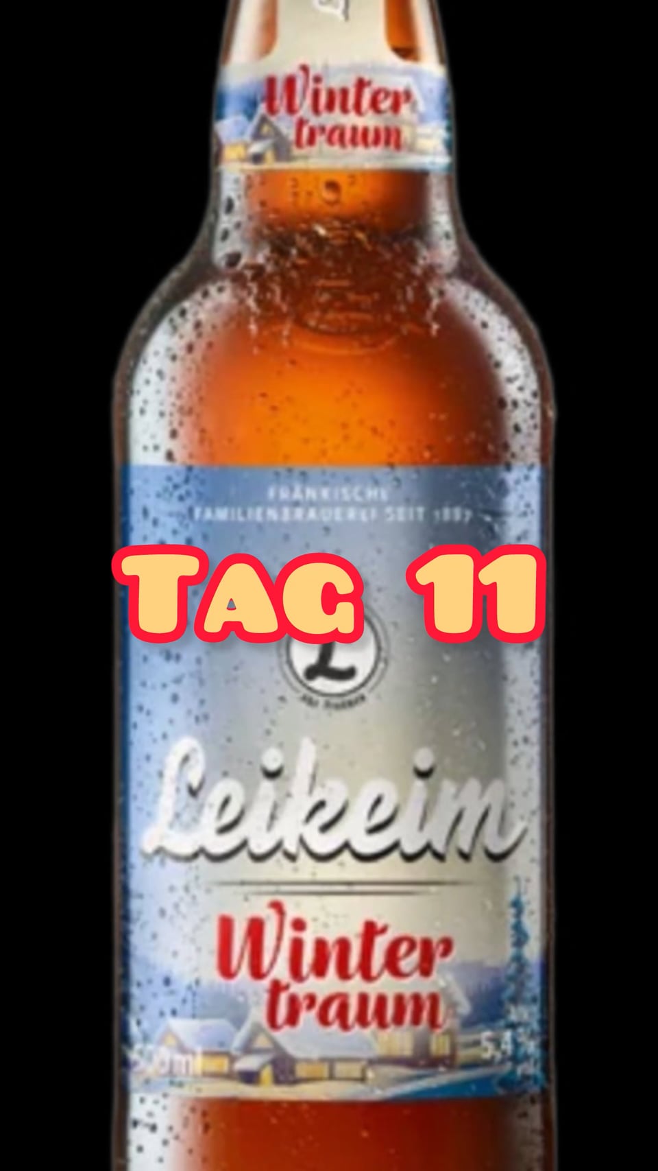 Türchen Nr. 11 Leikeimer Wintertraum