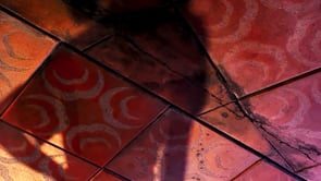 Motion — Sam Youkilis, Mini Title 2025
