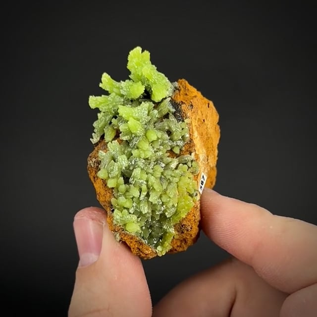 Pyromorphite (old classic)