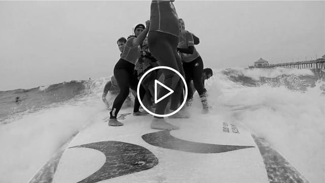 Seal Media - Video - 1
