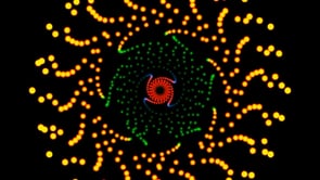 spiral (1080p).mp4