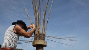 Withy Pot Making with Richard Ede