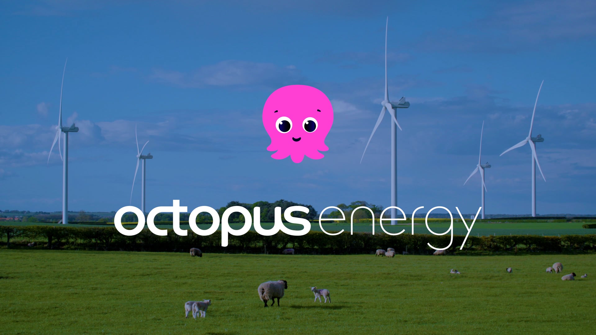 Octopus Educational Series - Wind Power