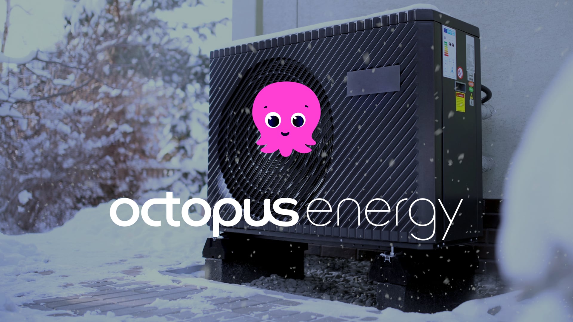 Octopus Educational Series - Heat Pumps
