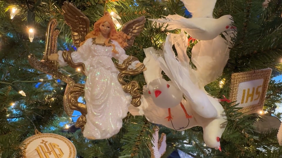 A Season of Hope