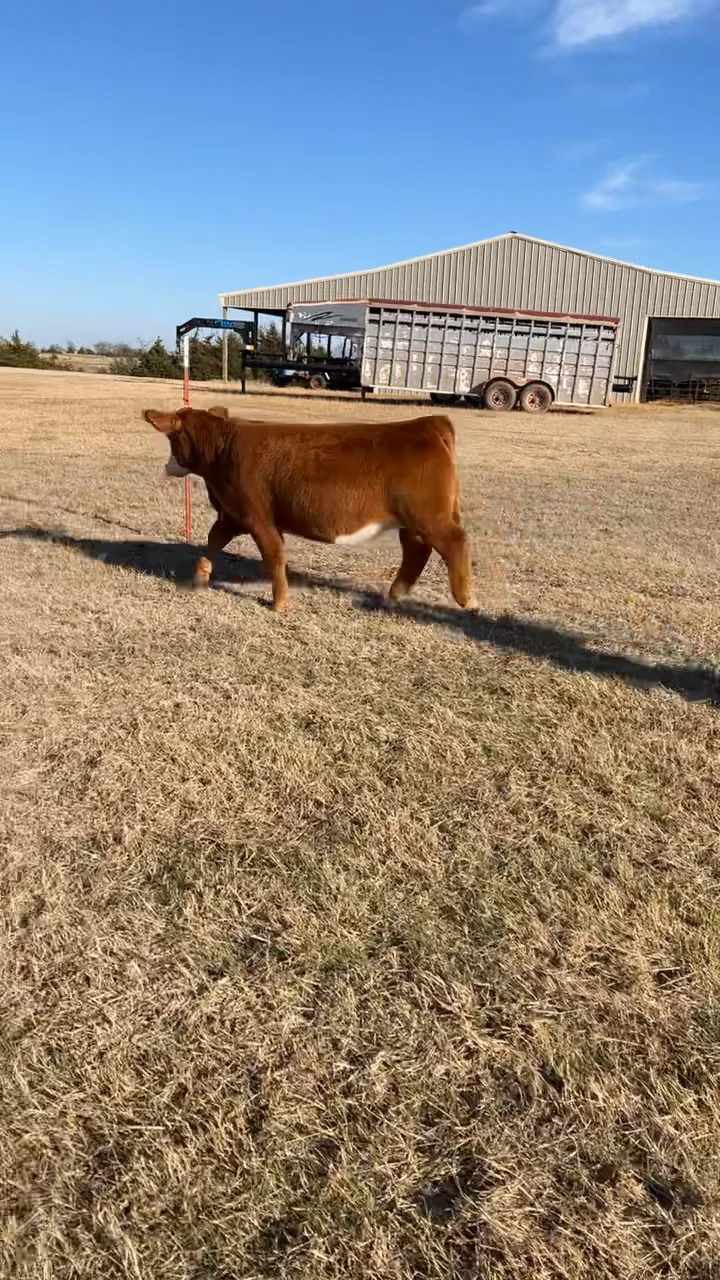 Lot 1