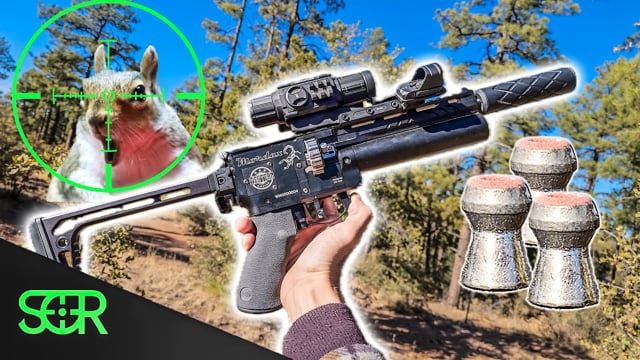 Squirrel Hunting with EXPLODING PELLETS - Airgun101