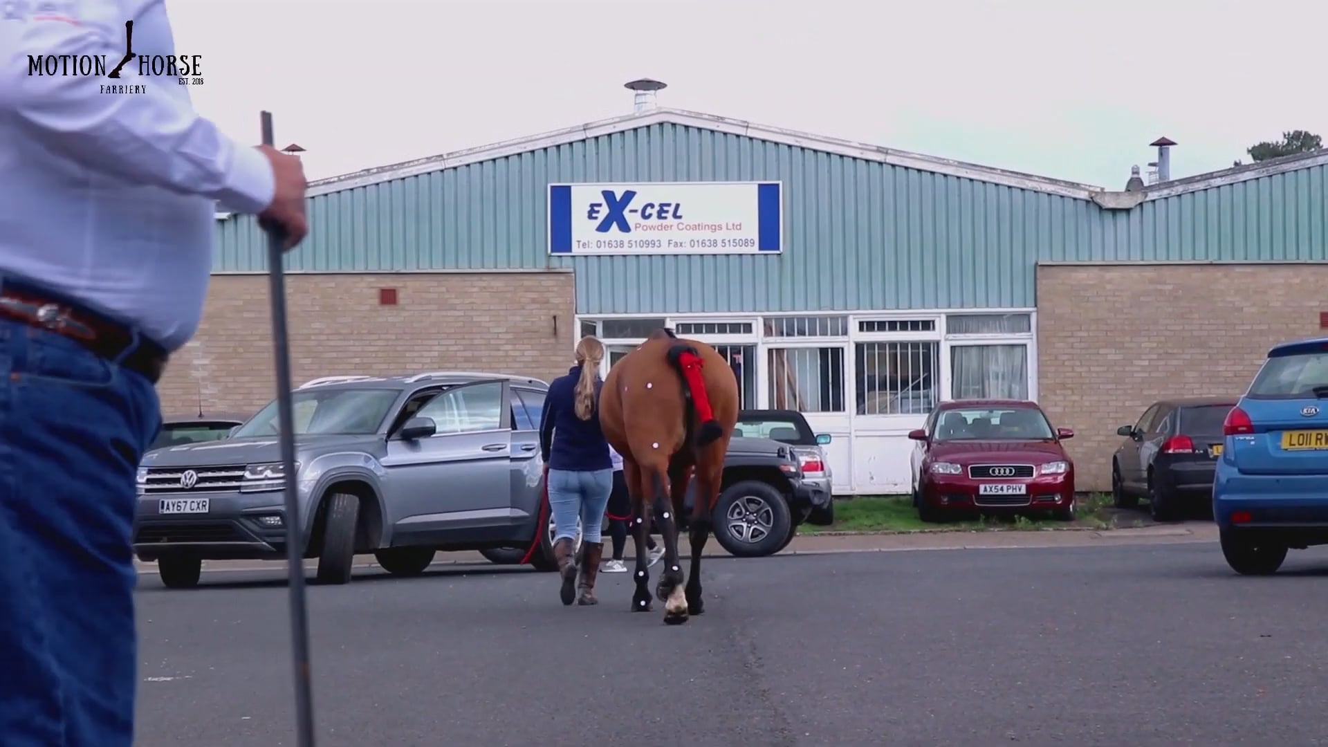 Fundamental Horseshoeing Principles Part 2 Static and dynamic assessments for the shoeing plan