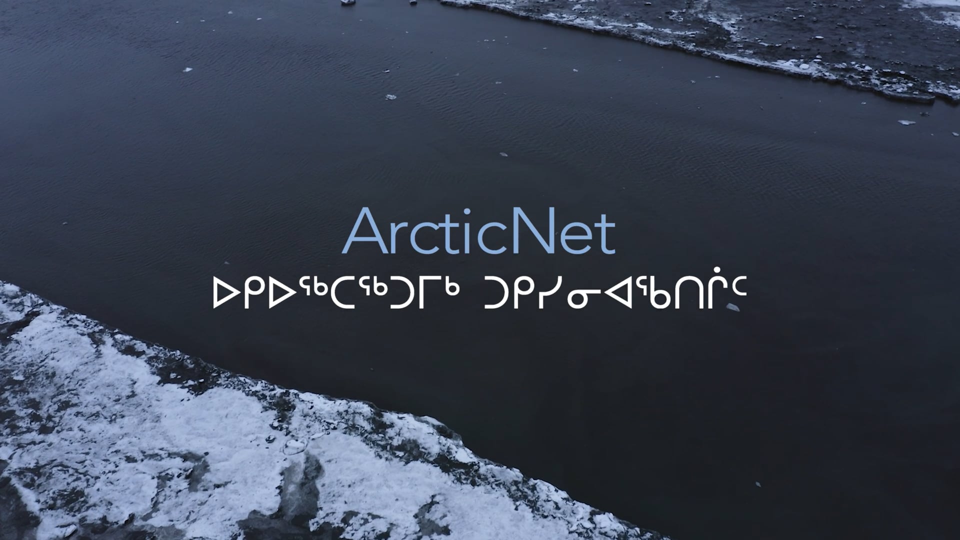 Leaving A Legacy - ArcticNet's 20th Anniversary