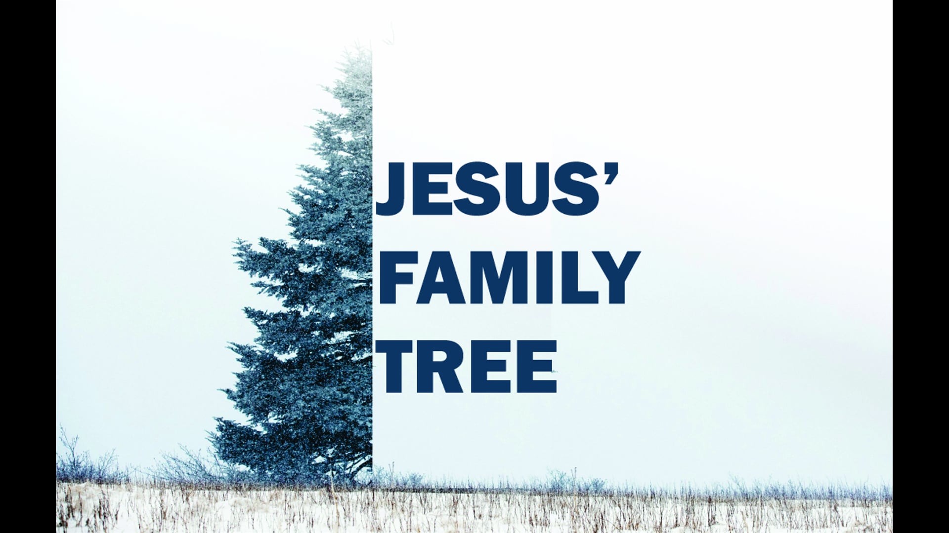 12.15.24 - Judah and Tamar's Hope of Redemption