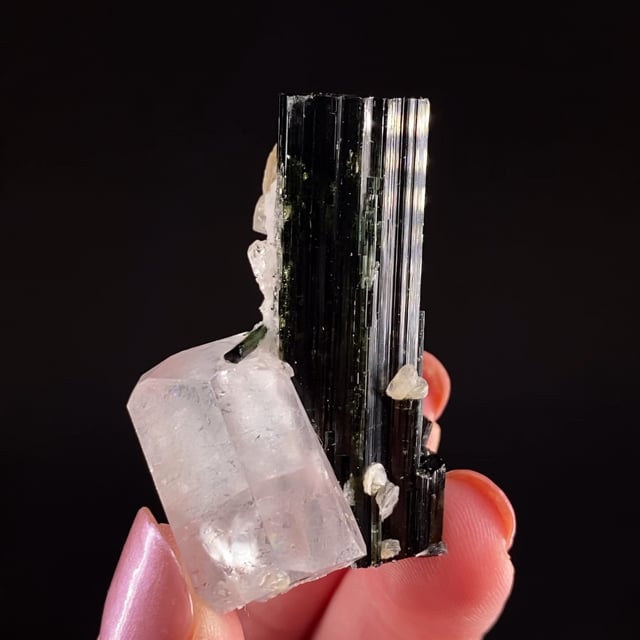 Beryl var: Goshenite on Tourmaline