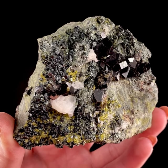 Andradite with Magnetite and Clinochlore