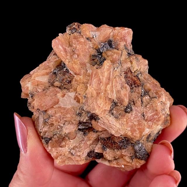 Bustamite with Galena