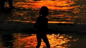 Motion — Sam Youkilis, Mini Title 2025