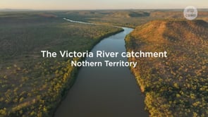 Victoria River Water Resource Assessment explore the key findings