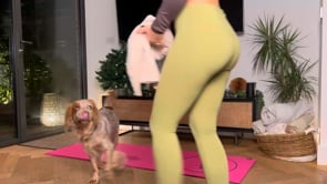 Related Embedded Video Item Thumbnail