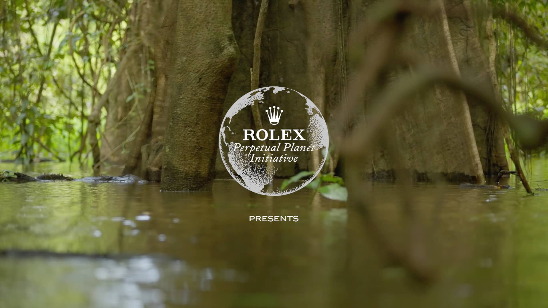 Mamirauá Reserve: A Legacy to Protect