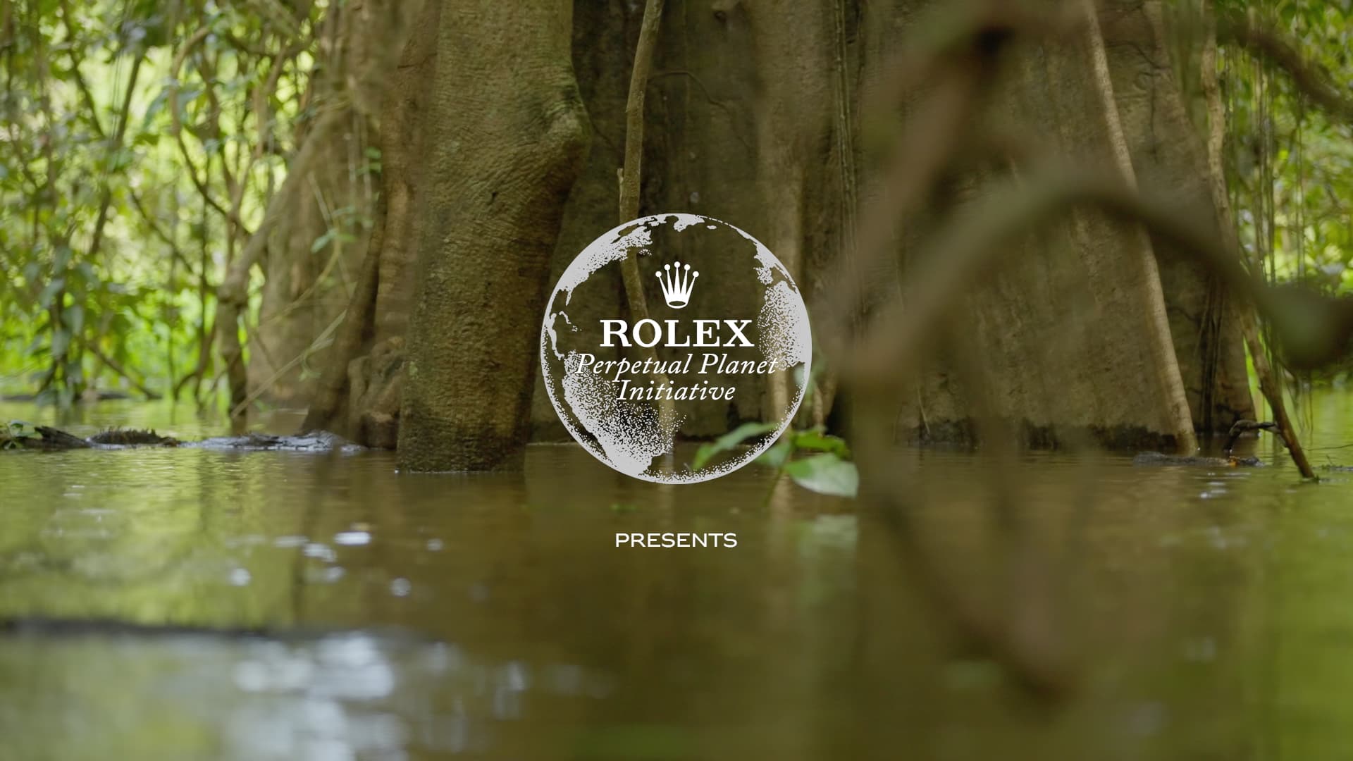 Mamirauá Reserve: A Legacy to Protect
