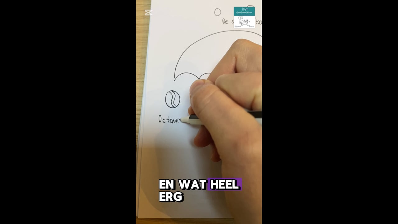 Soorten ballen (de) - de tennisbal, de voetbal, de handbal, de rugbybal, de volleybal .. .