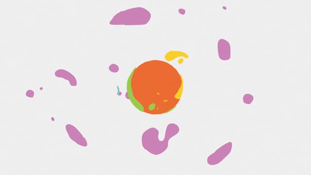 Vimeo Thumbnail