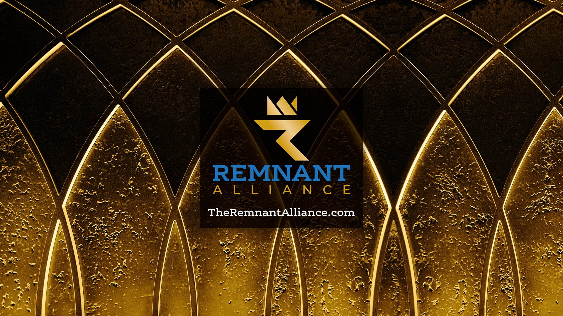 Building Momentum: CDF and the Remnant Alliance in 2025