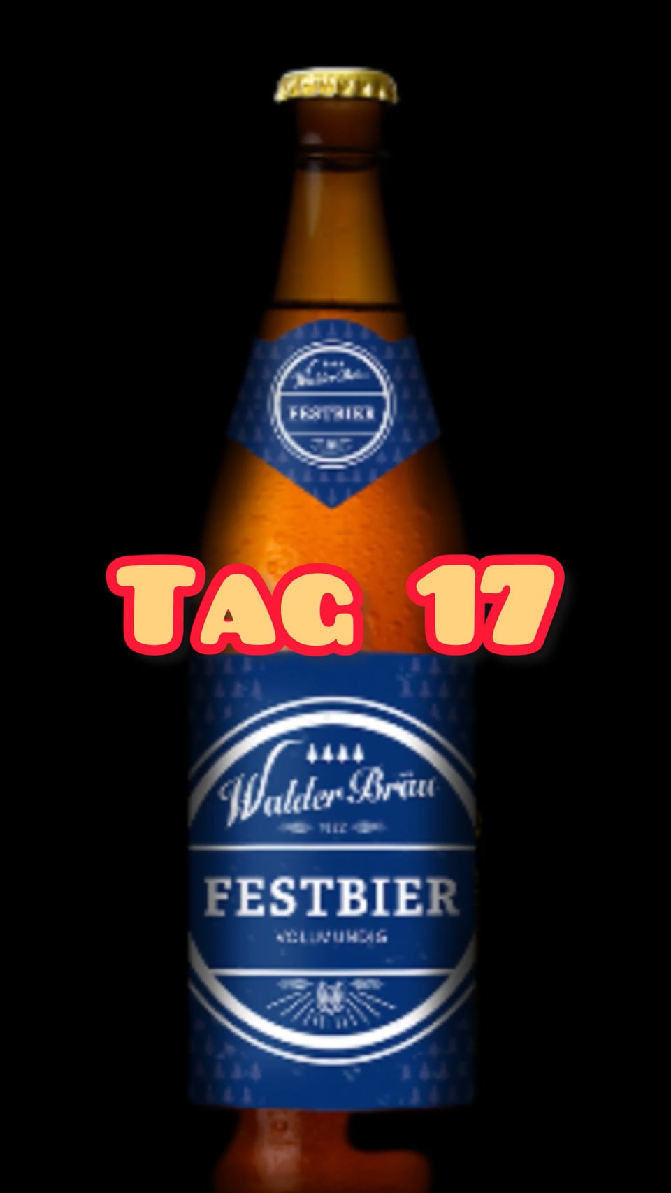 Türchen Nr. 17 Walder Bräu Festbier