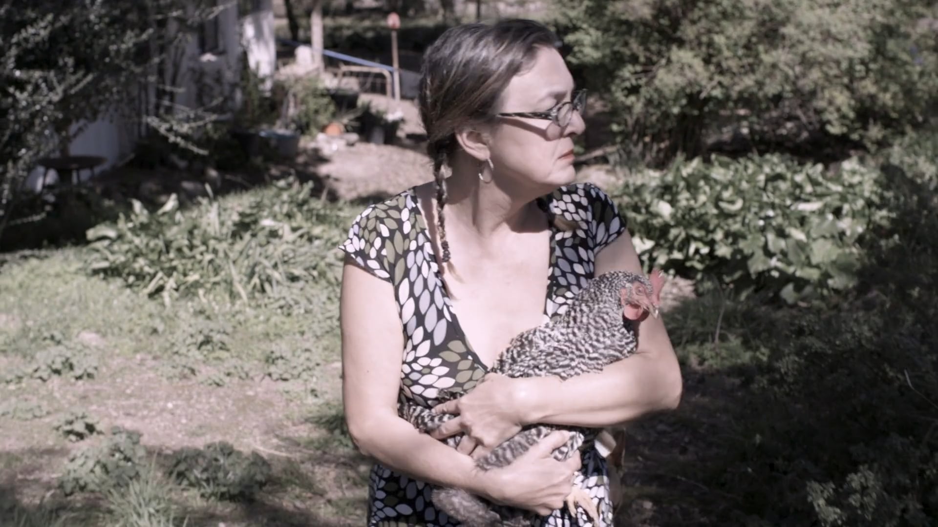 CLUCK OF THE DRAW | Independent Short Film