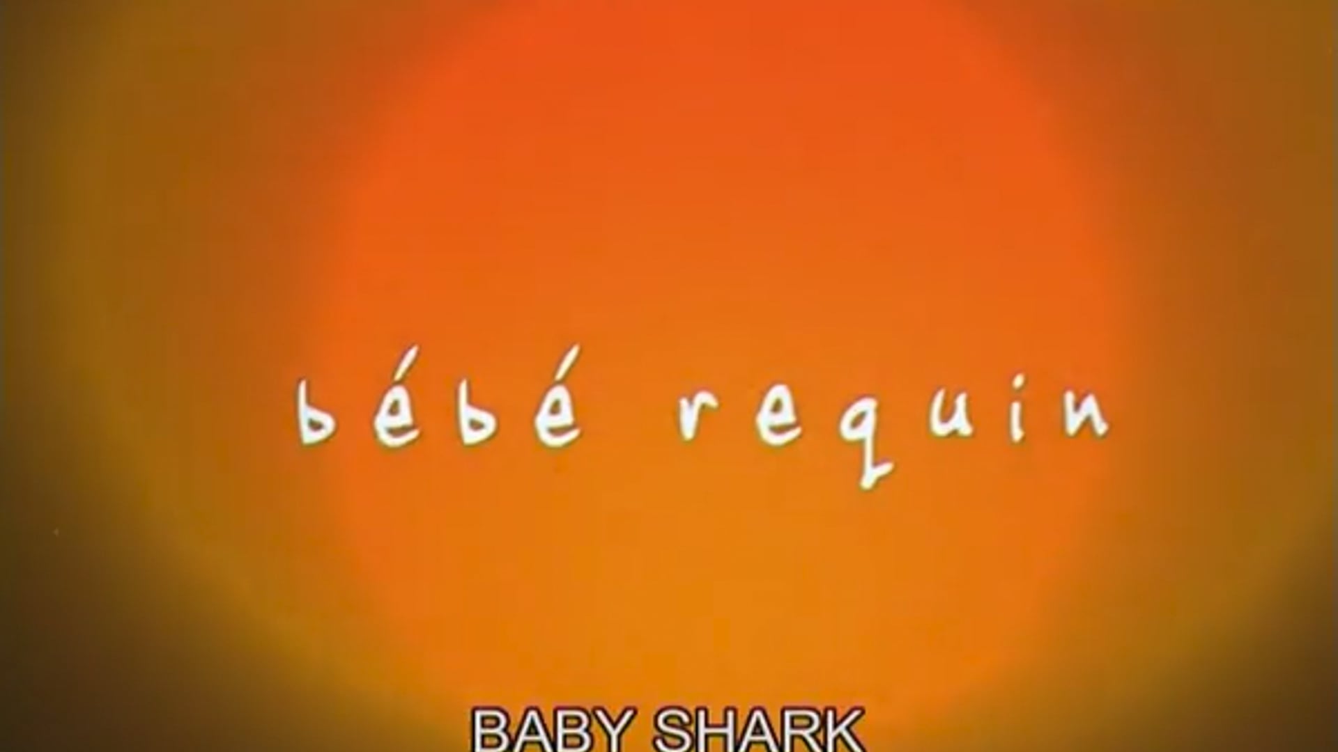 Bébé requin