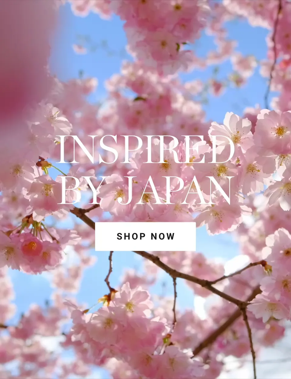 Japanese Chef Knives & Japanese Cooking Tools | Williams Sonoma