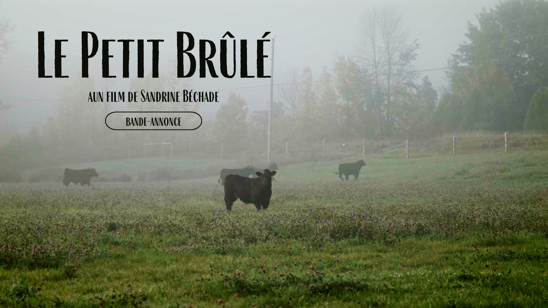 Le Petit Brulé - bande-annonce