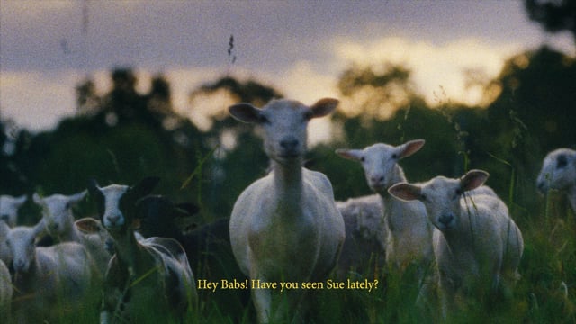 PETA Inhumane commercial still